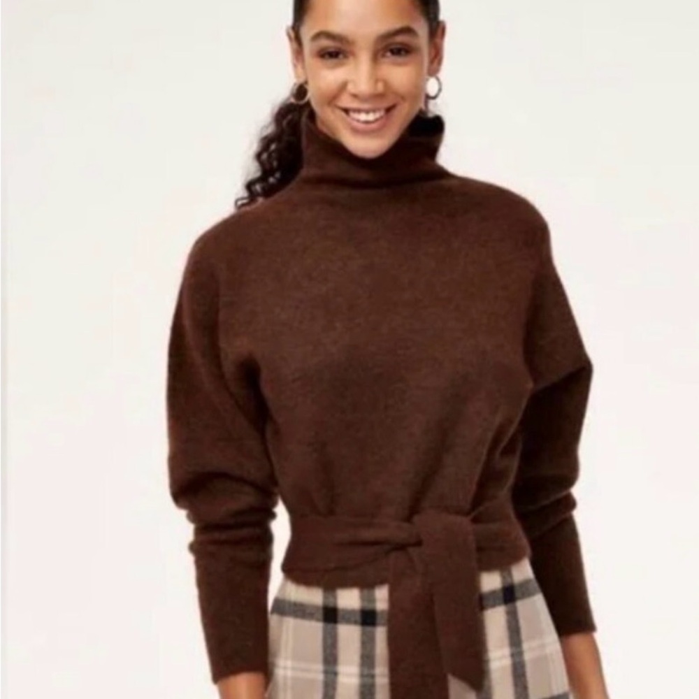 Aritzia Wilfred Lorin Wool Alpaca Belted Turtleneck Sweater Brown Small